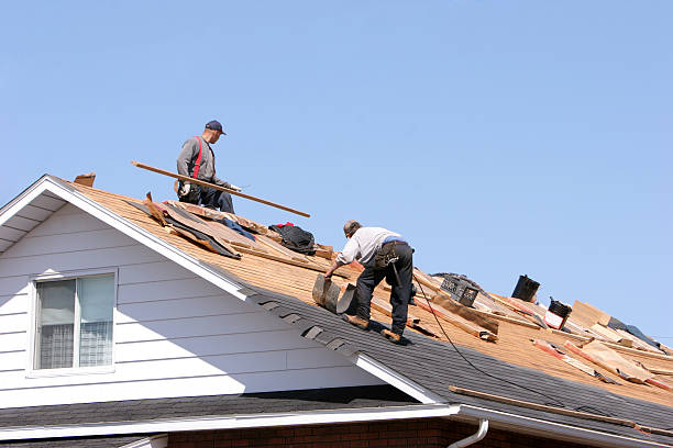 Fredonia, WI  Roofing repair and installation Company